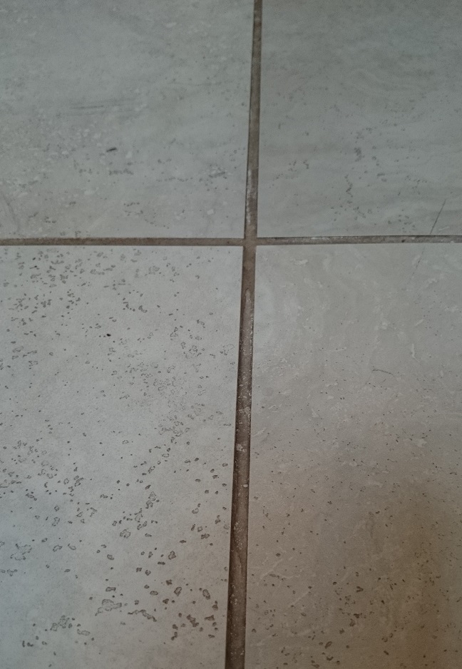 Porcelain Floor Grout Lines Before Cleaning